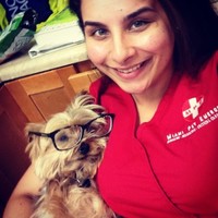 Erica H Abreu Email & Phone Number