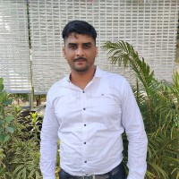 Alacrity Shipping Services (I) Pvt.Ltd. Employee Nitish Borati's profile photo