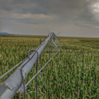 MOUNTAINLAND SUPPLY COMPANY Employee Wes Shaffer's profile photo