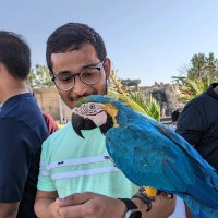 FYIND.COM Employee Saleh Assadi's profile photo