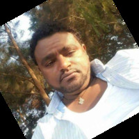 Habtamu Kassa Email