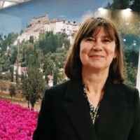 Cyrille Plenet Email & Phone Number