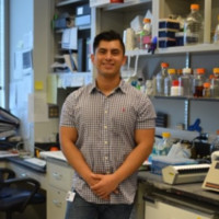 Partnership to End Addiction Employee Luis Torres's profile photo