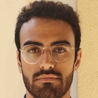 Davide de Nardi Email
