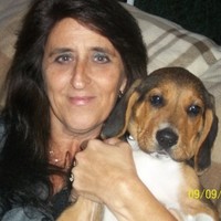 MarketLinc Employee Donna Phillips's profile photo