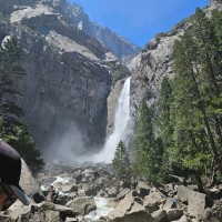 CDS Distributing Inc. Employee Gina da Re's profile photo