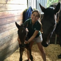 Randwick Equine Centre Employee Megan Bartels's profile photo