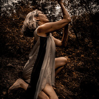 University of Rochester Employee Anne Wilcox's profile photo