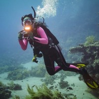 Crux Diving Inc Employee Sarah Relkin's profile photo
