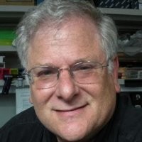 Genentech, Inc. Employee Bob Lazarus's profile photo