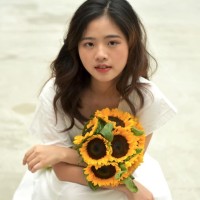 Techainer Employee My Nguyen's profile photo
