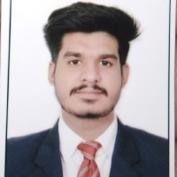 Gemini Solutions Pvt Ltd Employee Mrinal Arora's profile photo