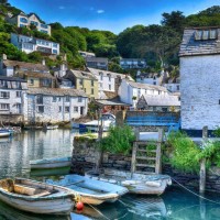 Alphasense Employee Will Allson's profile photo