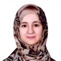 PlugCo Employee Vijdan Benamar's profile photo