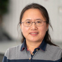 Continental Employee Ying Liu's profile photo