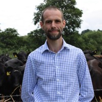 DemandPro Ltd Employee James Allen's profile photo