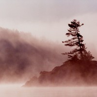 Redhead Equipment Employee Jeffrey Wallace's profile photo