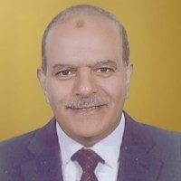 Tarek Bayoumy Email