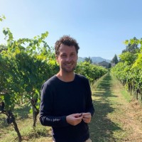 Ripstar Employee Jurrien van der Zaal's profile photo
