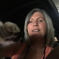 The Hoover Company Employee Lanette Lanette's profile photo