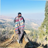Dexperts Inc. Employee Surya Singh's profile photo