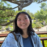 Paper Triangles Employee Christy Deng's profile photo