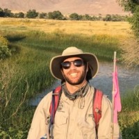 Joshua Elson Email