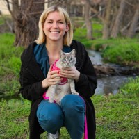 Amanda Schlegel Email & Phone Number