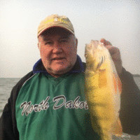 Robert Wedin