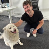 CDA Verlag Employee Enrico Eichinger's profile photo