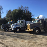 NorCal Kenworth Employee Mike D'Agostini's profile photo