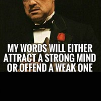 CodeXNow Employee Farrukh Zamir's profile photo