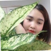 Kim Dao Email & Phone Number