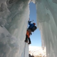 Steven Drago Email & Phone Number