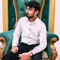 Novapex Software Technologies Employee Faizan Gulzar's profile photo