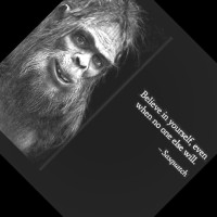 Ohio Steel Industries Employee Jon Van Gundy's profile photo