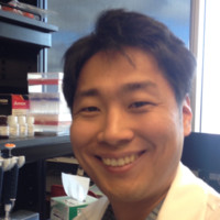 Jinlyung Choi Email & Phone Number
