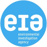 Environmental Investigation Agency Employee Haibing's profile photo