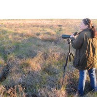 BCarbon Employee Lalise Mason's profile photo