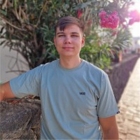 LBT Computer Services Ltd Employee Denis Nicolae's profile photo