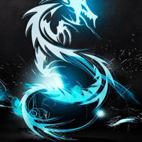 Annette Opfergelt Email