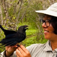 Brock University Employee Kiyoko Gotanda's profile photo
