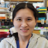 Lili Chen Email & Phone Number