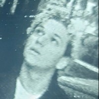 CRUSH MUSIC Employee Elvis Pilat's profile photo