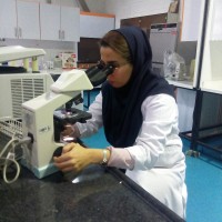 Finch Therapeutics Employee Fatemeh Babazadeh's profile photo