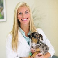 Kortney Roppel Email & Phone Number