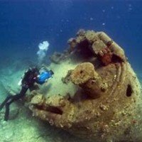 The University of British Columbia Employee Chandler C's profile photo