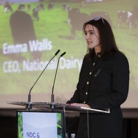 National Dairy Council Employee Emma Walls's profile photo