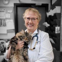 Nob Hill Cat Clinic & Hospital Employee Grace Carter's profile photo