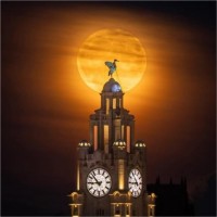 Illuma Lighting Employee James Earle's profile photo
